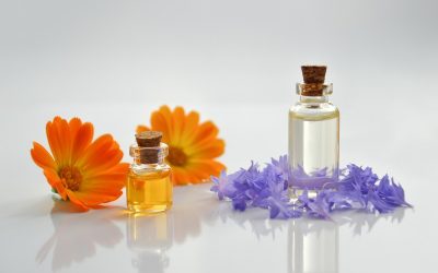Ce qui marche vraiment contre les insectes qui piquent la nuit